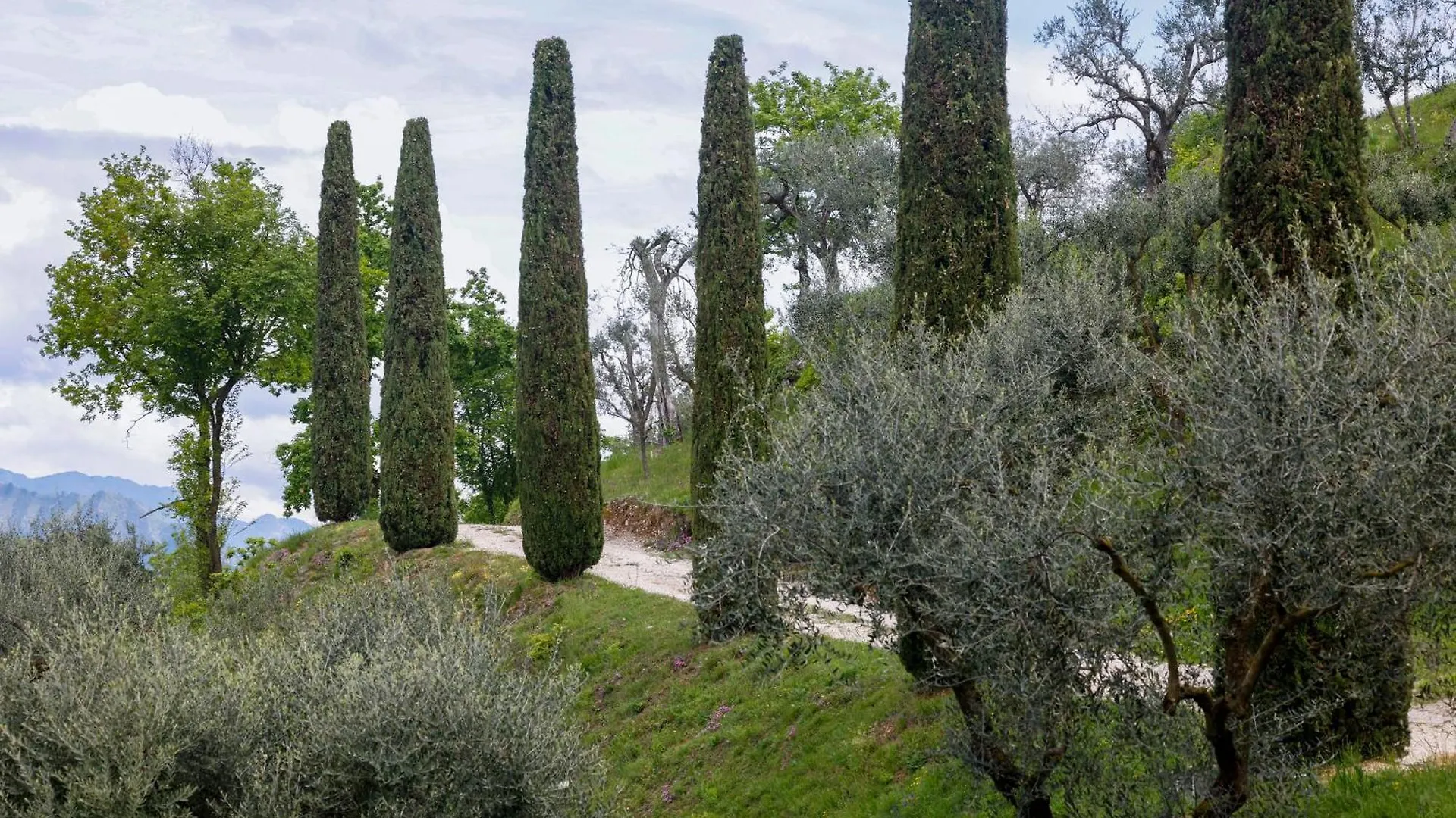 Podere Sabaina, Private Villa Mit Pool, Seeblick Und 3 Wohneinheiten Zur Alleinnutzung Torri Del Benaco